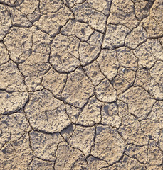 loam in a saline basin