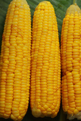 Sweet corn