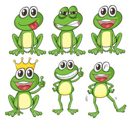 Obraz premium Green frogs