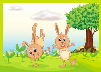 Photo sur Plexiglas Animaux de la forêt Dancing lapins