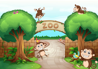 Obraz na płótnie Canvas Małpy w zoo