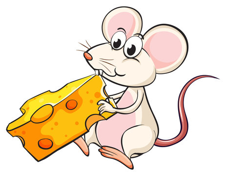 A mouse eating cheese