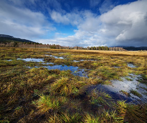 wet landscape - early spring