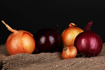 Ripe onions on sacking on wooden table on black background