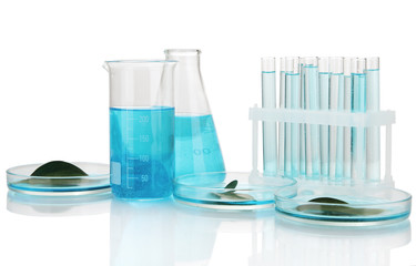 test-tubes and leaves tested in petri dishes  isolated on white