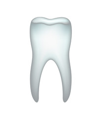 Tooth on a white background