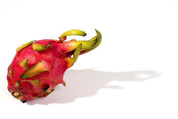 Dragon fruit