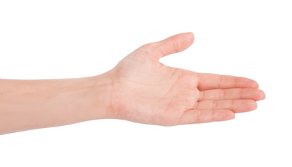 Empty open woman hand