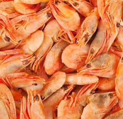Fresh shrimps