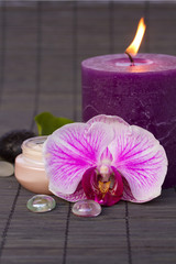 orchid spa