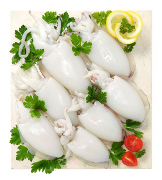 Seppie - Cuttlefish