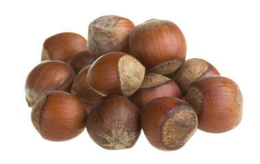 Dried hazelnuts
