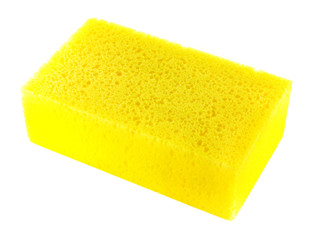 Sponge