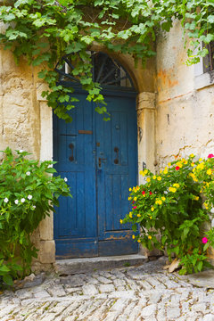 Old blue door and flowers in pots