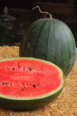 Water  melon