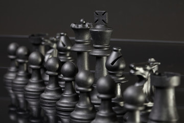 chess pieces on the board