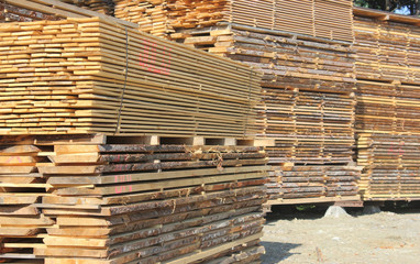 stacks of timber - close up