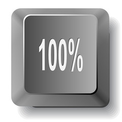 100%. Vector computer key.