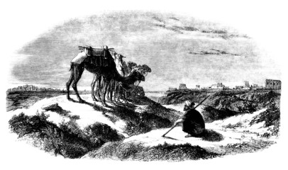 Trad. Camel-Rider - Chamelier