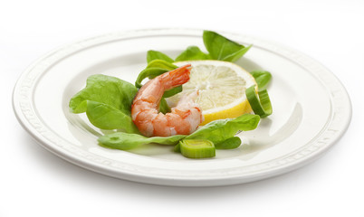 Shrimp's tail