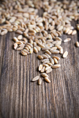 Farro