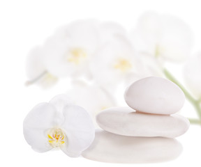 Fototapeta na wymiar three stones and white orchids