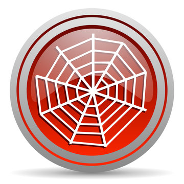 spider web red glossy icon on white background