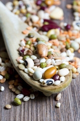Mixed vegetables on a wooden spoon