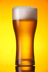 glass of beer