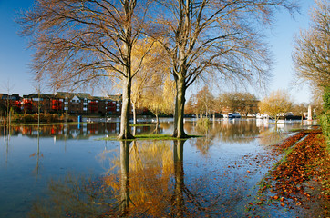 flood in UK, river Thames in Reading