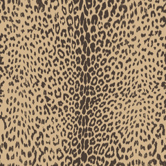 sexy leopard skin seamless background © Ani Bunny