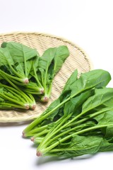 ホウレンソウ © 安ちゃん