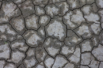 Crack soil