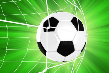 Soccer Ball in a Net
