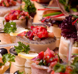 Set of tasty canape  for an event party
