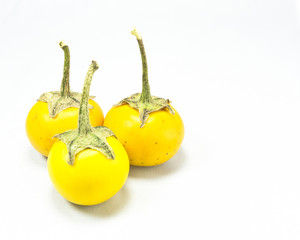 Yellow eggplant