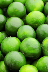 lime citrus fruit