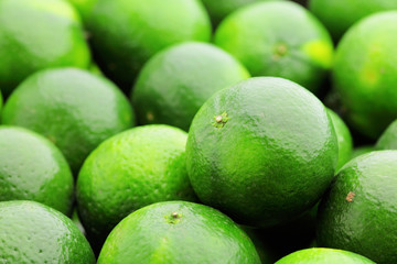 lime citrus fruit