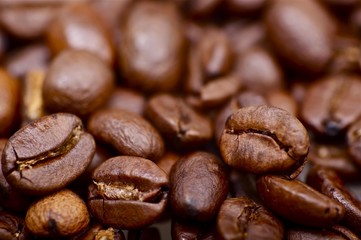 Coffee Beans Macro