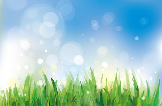 Vector of spring background, sky and grass.