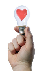 holding light bulb