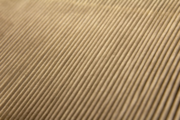 air filter from the vehicle