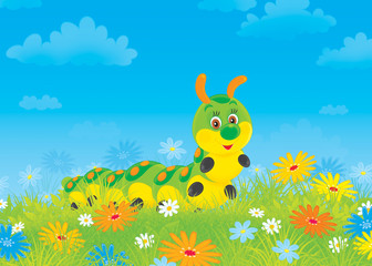 Funny caterpillar among field flowers