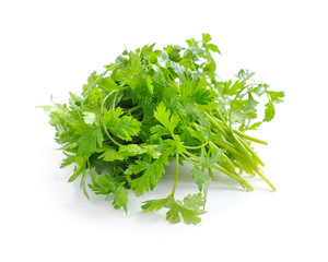 Bunch of fresh green parsley on white background