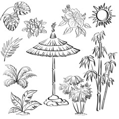 Exotic objects set, outline