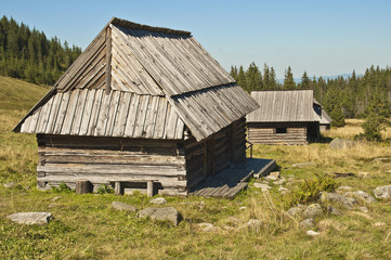 Obraz premium Tatry - polana olczyska