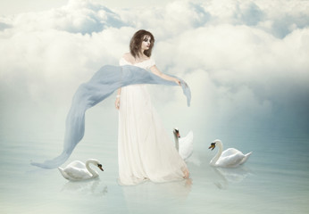 Fototapeta na wymiar white swans