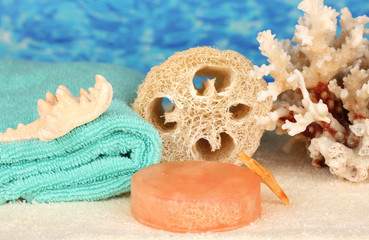 Loofah on color background