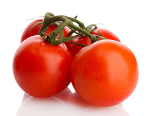 cherry tomatoes on a branch with drops isolated on white