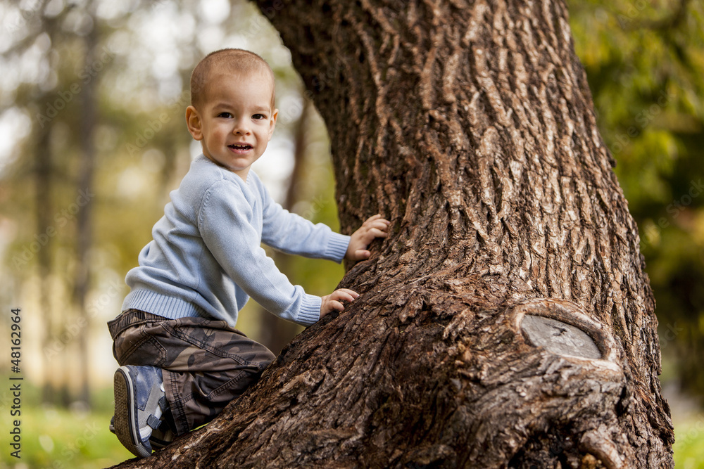 Sticker little boy on the tree